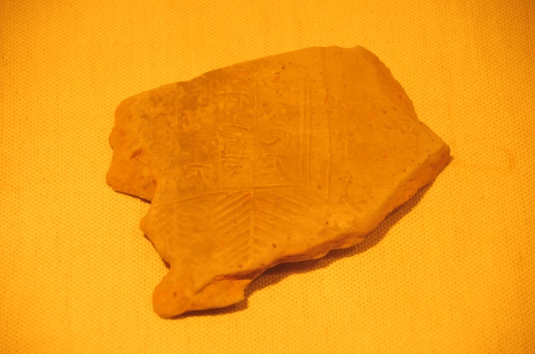 1135.JPG