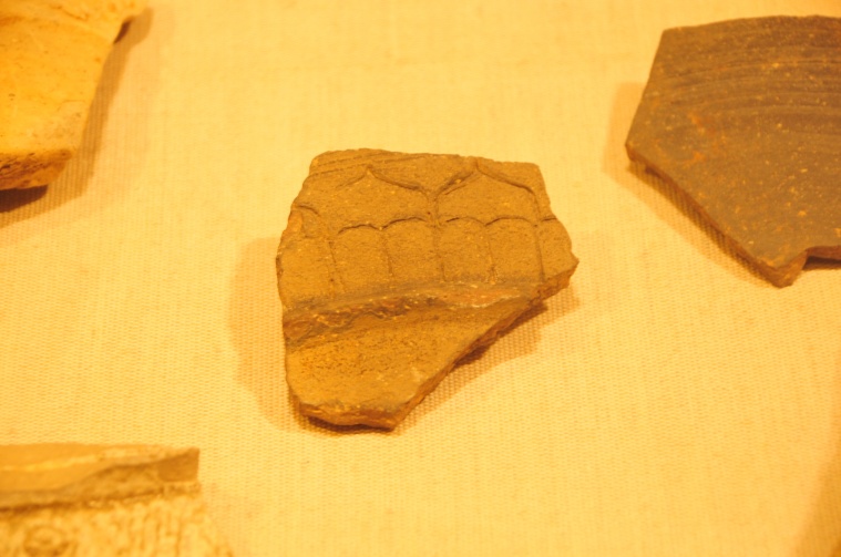1254.JPG