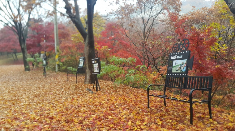 성흥산 사랑나무 드라마길 장면 (1).jpg